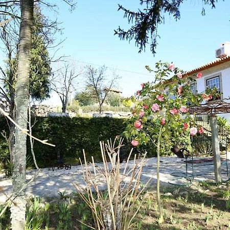 Quinta De Vila Verde- Paixao Ancestral, Turismo Rural Marco de Canavezes Екстериор снимка